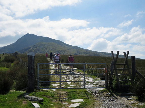 6.Moel Siabod
22/6/14. Returning to civilisation. The conquered peak in the background. Just half a mile to the end of the walk. Photo: Roy Milner
Keywords: Jun14 Sunday Roy Milnes