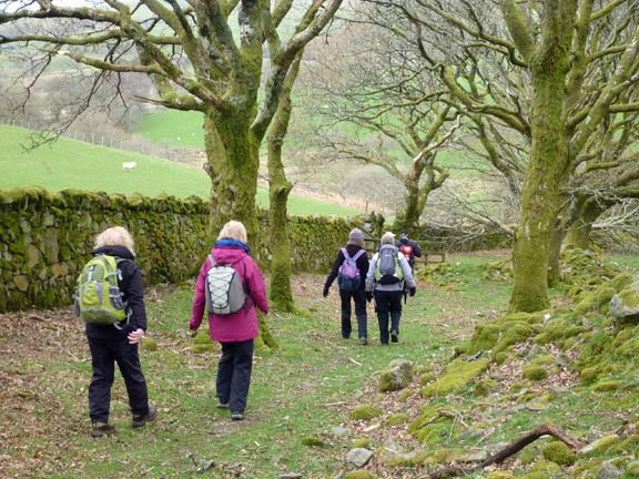 4.Llyn Trawsfynydd
3/4/14. Over the lake, through Trawsfynydd, use the conveniences, shake hands, over the road and past Llain Wen Farm to Nant-y-Cefn.
Keywords: Apr14 Sunday Catrin Williams