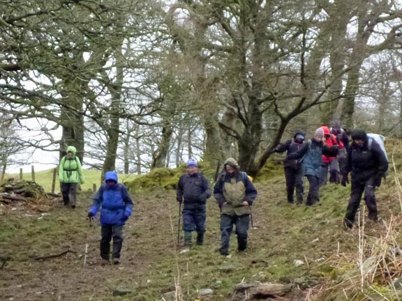 4.Betws y Coed to Capel Garmon
29/3/15. Mud, mud, glorious mud. An unavaoidably dirty walk at Penrhyddion Uchaf.
Keywords: Mar15 Sunday Dafydd Williams