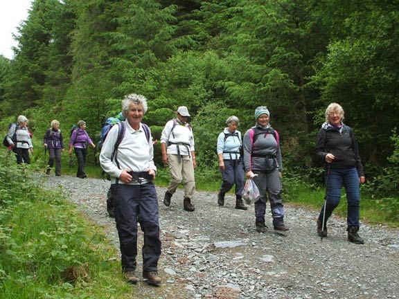 5.Carnedd y Cribau
21/6/15. Aproaching the end of the walk, down through the forest. Photo: Dafydd Williams
Keywords: June15 Sunday Catrin Williams
