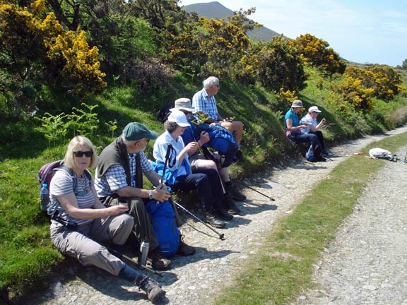 1.Around Clynnog Fawr
11/6/15. Photo: Nick White
Keywords: Jun15 Thursday Nancy Saville