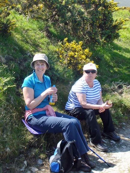 2.Around Clynnog Fawr
11/6/15. Photo: Nick White
Keywords: Jun15 Thursday Nancy Saville