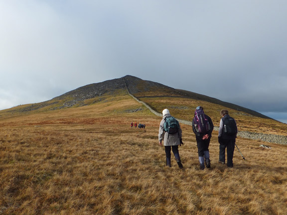 5.Moelfre Summit.
18/1/15. The main group takes starts the ascent of Moelfre.  Photo: Diane Doughty.
Keywords: Jan15 Sunday Ian Spencer