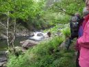 Filename=BeddgelertNW1556.jpg
Filesize=69KiB
Dimensions=576x432
Date added=Jun 05, 2015 BeddgelertNW1556.jpg