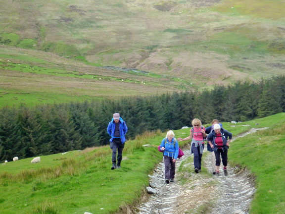 2.Berwyns
22/5/16. On our way up towards Pen Bwlch Llandrillo at the head of Cwm Llynor.
Keywords: May16 Sunday Noel Davey