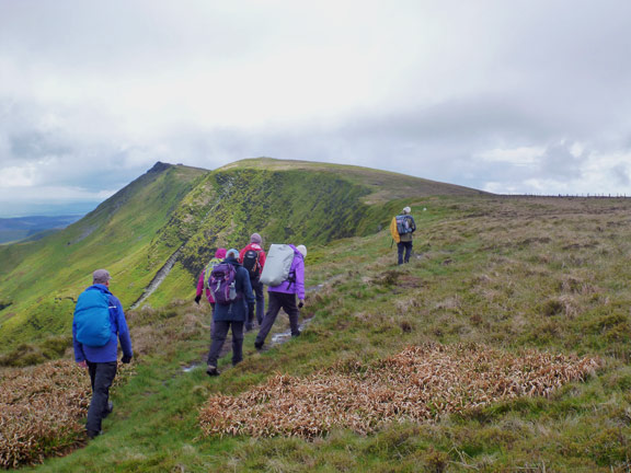 4.Berwyns
22/5/16. Approaching Cadair Berwyn along Craig Berwyn.The trig point is on Cadair Berwyn, the peak visible beyond to the south is higher by 3metres.
Keywords: May16 Sunday Noel Davey