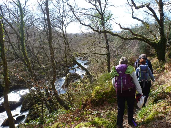 4.Cwmorthin Six Lakes (Changed to Cwm Bowydd)
28/2/16.  Alongside Afon Goedol, not far from the waterfalls.
Keywords: Feb16 Sunday Nick White