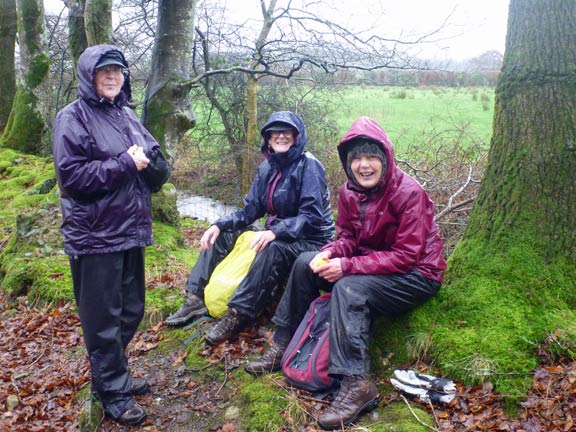 5. Dwyfor - Lon Goed
3/1/16. Another lunchtime group. Good sitting positions were hard to find.
Keywords: Jan16 Sunday Dafydd Williams