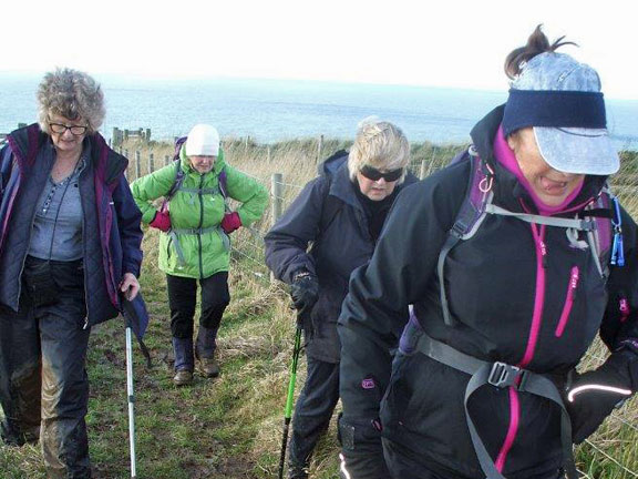 5.Mynydd Carreg Circular
18/02/16 Concentration is called for. Photo: Dafydd H Williams.
Keywords: Feb16 Thursday Megan Mentzoni Miriam Heald