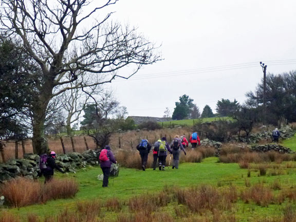 1.Four Valleys (Cut down to two Valleys)
17/1/16. Walking up from Bryn-y-Pistyll, through the fields close to Hafod Oleu on our way to our first summit, Cefn-du.
Keywords: Jan16 Sunday Noel Davey