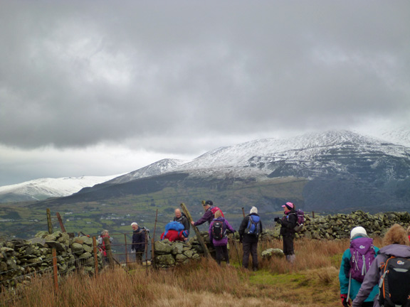 4.Four Valleys  (Cut down to two Valleys)
17/1/16. Coming up to our mid morning tea/coffee break. Elidir Fach and Elidir Fawr in the background..
Keywords: Jan16 Sunday Noel Davey