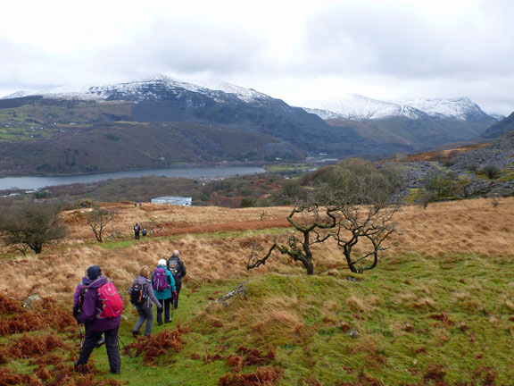 6.Four Valleys (Cut down to two Valleys)
17/1/16.  Down towards the outskirts of Llanberis. We have been this way before.
Keywords: Jan16 Sunday Noel Davey