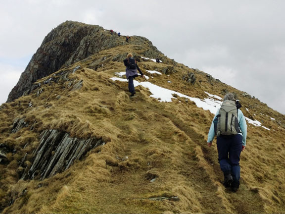 3.Yr Aran & Beddgelert Forest
13/3/16. The ascent of Yr Aran. Photo: Roy Milner.
Keywords: Mar16 Sunday Noel Davey