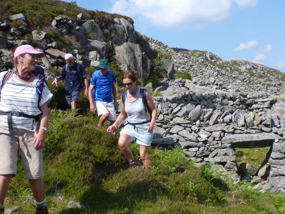 7.Moel Ysgyfarnogod & Foel Penolau
5/6/16. Past Gyrafolen and within a few hundred yards of the outward track, we have to clamber over old sheep handling and sheltering facilities.
Keywords: Jun16 Sunday Hugh Evans