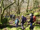 Filename=CwmBowydd-009.jpg
Filesize=69KiB
Dimensions=576x432
Date added=Mar 04, 2016 CwmBowydd-009.jpg