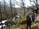 Filename=CwmBowydd-013.jpg
Filesize=69KiB
Dimensions=576x432
Date added=Mar 04, 2016 CwmBowydd-013.jpg
