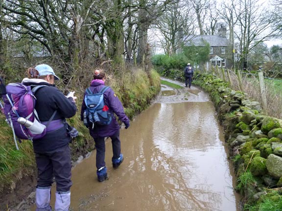 2.Bryncir
15/1/17. It is not as dry as we were hoping.
Keywords: Jan17 Sunday Kath Mair