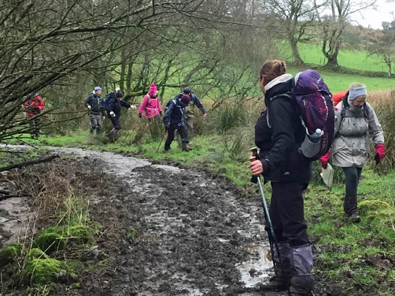 7.Bryncir
15/1/17.  A rather boggy section between Hendre Cennin and the north end of Lon Goed. Photo: Heather Stanton.
Keywords: Jan17 Sunday Kath Mair