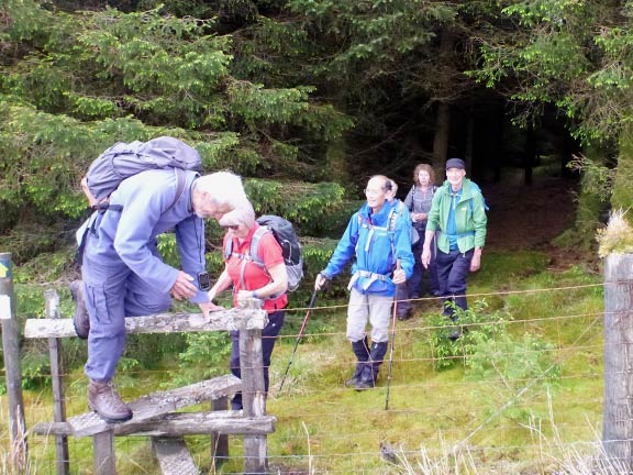 2.Cwm Hesgyn
21/5/17. The A group exits a small patch of forest about 1km into the walk.
Keywords: May17 Sunday Hugh Evans