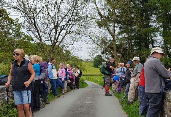 7.Cwm Pennant
11/5/17. Photo: Judith Thomas..
Keywords: May17 Thursday Kath Mair