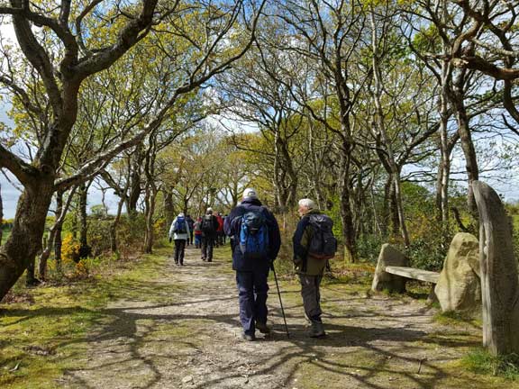 7.Chwilog Area
27/4/17. Photo: Judith Thomas.
Keywords: Apr17 Thursday Kath Spencer
