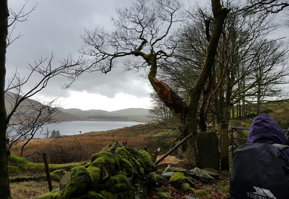 8.Moel Ddu
12/3/17. The end of the walk is not far off. Our distination, the car park at the far end of the Cwm Ystradllyn reservoir . Photo: Judith Thomas.
Keywords: Mar17 Sunday Tecwyn Williams