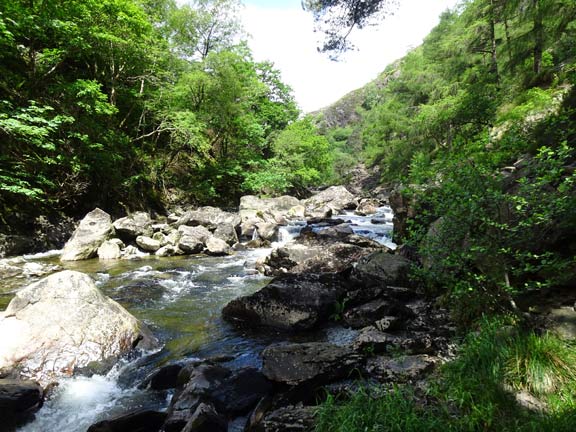 2.Nant Gwynant
4/6/17. On the Fishermans' Path alongside Afon Gwynant. Photo: Ann White
Keywords: Jun17 Sunday Dafydd Williams