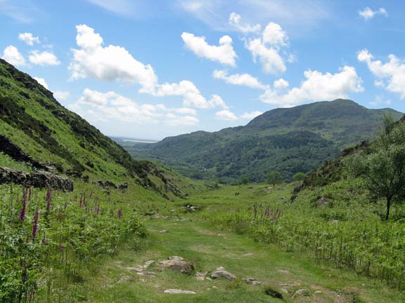 3.Nant Gwynant
4/6/17. A view back down Cwm Buchan. Photo: Nick White
Keywords: Jun17 Sunday Dafydd Williams