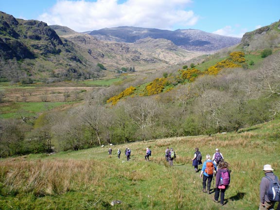 8.Carnedd y Cribau
23/4/17.  Decending to the valley bottom near Hafod Rhisgl, shortly after crossing the Beddgelert - Capel Curig road. Then it is up hill, back to Pen-y-Gwryd.
Keywords: Apr17 Sunday Dafydd Williams