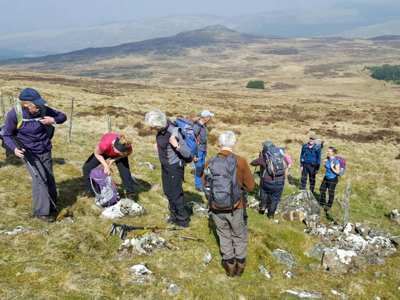 3.Rhobell Fawr
9/4/17. Short break to remove layers after negotiating a long climb and this fence. Photo: judith Thomas.
Keywords: Apr17 Sunday Judith Thomas