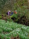 Filename=SnowdropJT0001.jpg
Filesize=70KiB
Dimensions=432x576
Date added=Mar 07, 2017 SnowdropJT0001.jpg