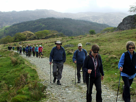 1.Bethania - Cwm Llan
10/5/18.  Ascending the Watkin Path. Photo: Dafydd Williams.
Keywords: May18 Thursday Dafydd Williams