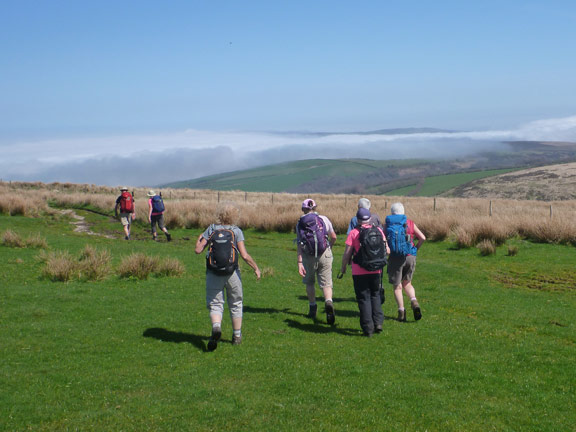 52.Exmoor Spring Holiday
19/4/18. Soon to leave the moor near Lucott Farm. The sea mist is moving inland. We have missed it so far. Photo: Hugh Evans.
Keywords: Apr18 week Hugh Evans
