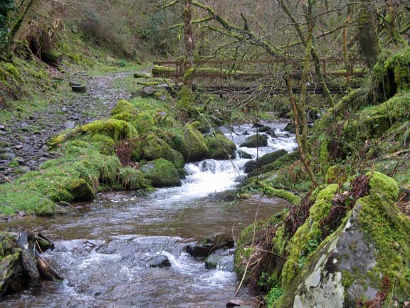 34.Exmoor Spring Holiday
17/4/18. Our crossing on the stream Horner Water. Photo: Nick White.
Keywords: Apr18 week Hugh Evans
