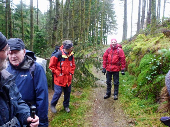 2.Llanuwchllyn
28/1/18. A tree across the path is soon raised out of the way by one of the club's stronger members.
Keywords: Jan18 Sunday Hugh Evans