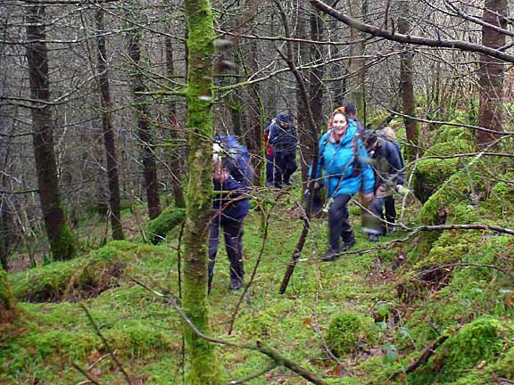 4.Llanuwchllyn
28/1/18. Making our way up from the main road on a path which has lain forgotten for years.
Keywords: Jan18 Sunday Hugh Evans