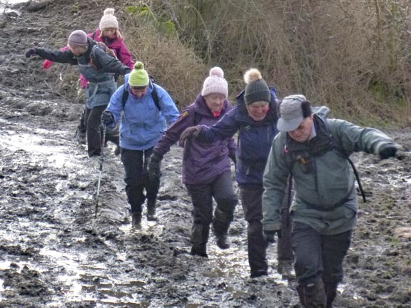 3.Llanystumdwy
11/2/18. Full concentration and some ballet moves required to stay upright in the mud, close to Ysgubor Hen farm. 
Keywords: Feb18 Sunday Dafydd Williams jean Norton