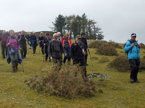 6.Nantlle Holey Walk
12/4/18. returning to Talysarn.Photo: Dafydd Williams.
Keywords: Apr18 Thursday Tecwyn Williams