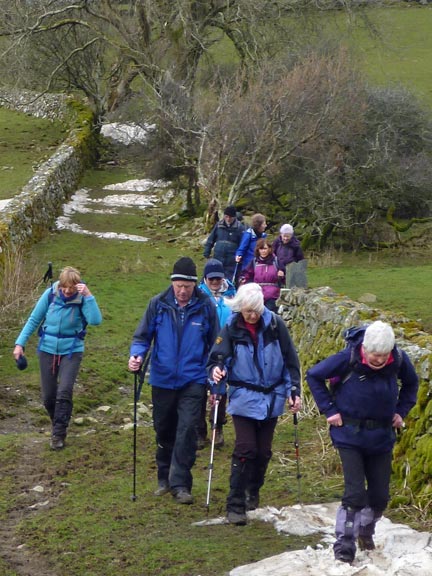 7.Trawsfynydd - Roman Fort
11/3/18. Nearing the main road and the end of our walk.
Keywords: Mar18 Sunday Tecwyn Williams