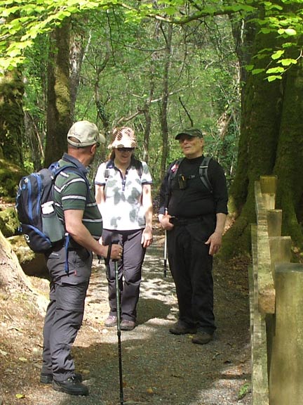 2.Tabor - Y Foel
6/5/18. Into the welcoming shade of the Torrent Walk path. Photo: Dafydd Williams.
Keywords: May18 Sunday Nick White