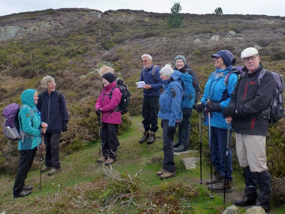 2.Capelulo
7/4/19. On the north side of Allt Wen. about to descend into Coed Pendyffryn.
Keywords: Apr19 Sunday Jean Norton Annie Michael