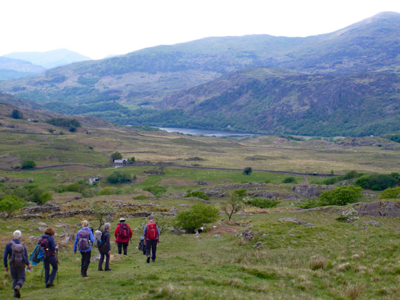 7.Cnicht via Llynnau Myllt & Llynnau Cwn (A walk) & Around Yr Arddu (B walk) 
19/5/19. Decending into the Nanmor Valley and the tarmac road to our starting point. Llyn Dinas in the background (A walk).
Keywords: May19 Sunday Richard Hirst Dafydd Williams