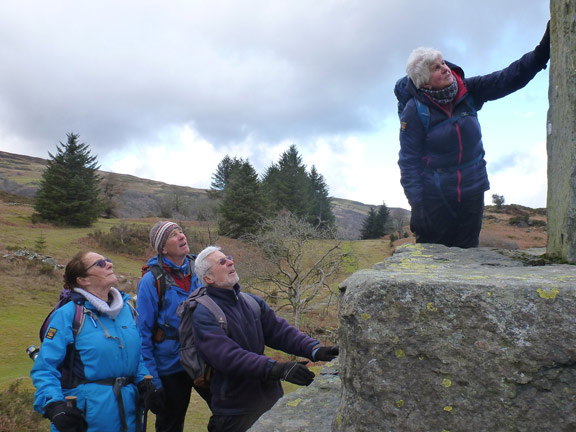 5.Llynnau Crafnant & Geirionydd ('A' Walk)
10/2/19. Members get help with the Welsh version of the plaque on the Taliesin Monument at the Trefriw end of the lake.
Keywords: Feb19 Sunday Hugh Evans.