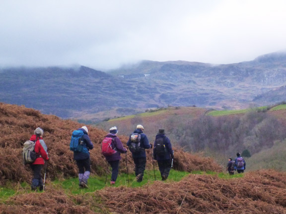 2.Cwm Bowydd / Cwm Cynfal Slate Trail
13/1/19. Making our way down Ceunant Cynfal from Rhaeadr-Cynfal- Waterfalls towards the B4391 near Allt Goch. The dam wall of Llyn Stwlan with Moelwyns behind, can be seen in the background.
Keywords: Jan19 Sunday Noel Davey
