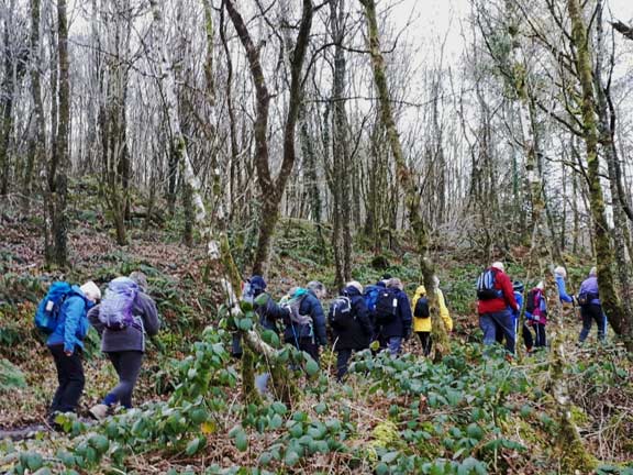 1.Llyn Hafod y Llyn
14/2/19. Photo: Judith Thomas.
Keywords: Feb19 Thursday Nick White