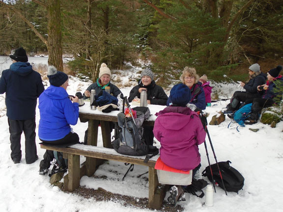 6.Llyn Llywelyn, Beddgelert Forest.
31/1/19. Photo: Dafydd Williams.
Keywords: Jan19 Thursday Meri Evans