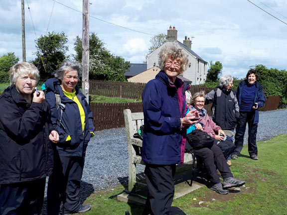 3.Nefyn Circular.
25/4/19. Lunch next a duck pond just off the Coastal Path.  Photo: Judith Thomas.
Keywords: Apr19 Thursday Miriam Heald