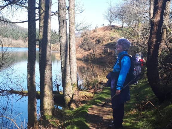 7.Penmaenpool-New Precipice Walk
28/3/19. Llyn Tan-y-graig (reservoir) . Photo: Judith Thomas
Keywords: Mar19 Thursday Nick White