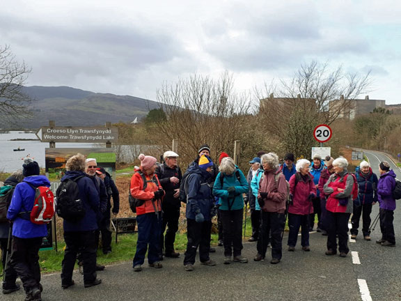 1.Trawsfynydd -Tomen y Mur
14/3/19. Ready for off, alongside the A470. Photo: Judith Thomas.
Keywords: Mar19 Thursday Nick White