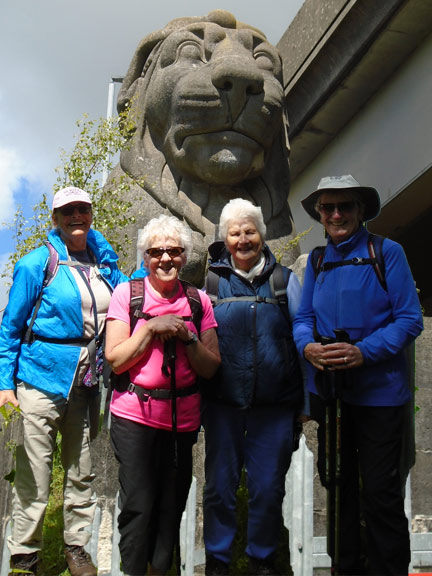 2.Treborth & Faenol linear
23/05/19. Composit photo. The lion (one of four under the Britannia Bridge and the group shot. Photo: Dafydd Williams.
Keywords: Jun19 Sunday Meri Evans
